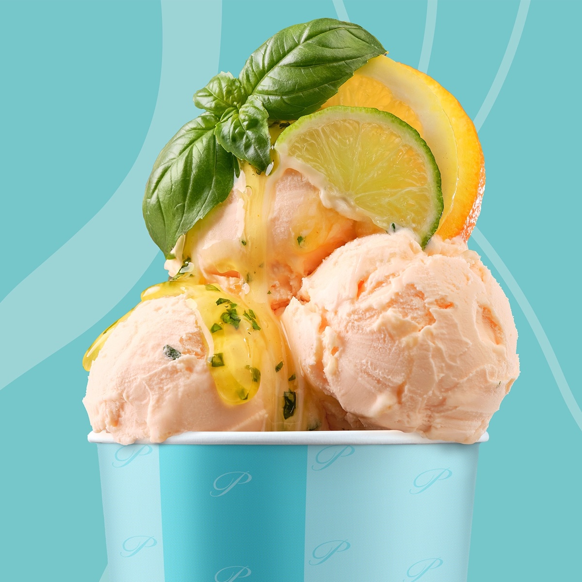 Mojoto sorbet ijs van der Poel